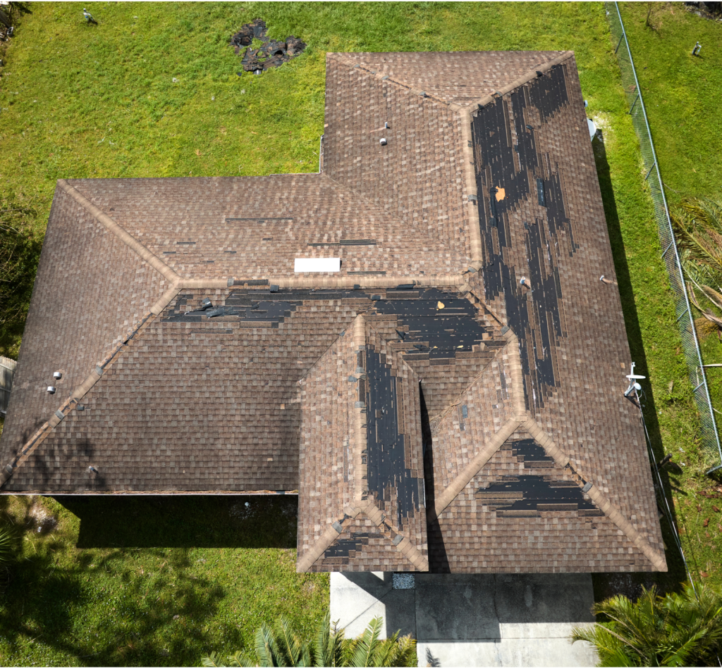 Untitled design (12)